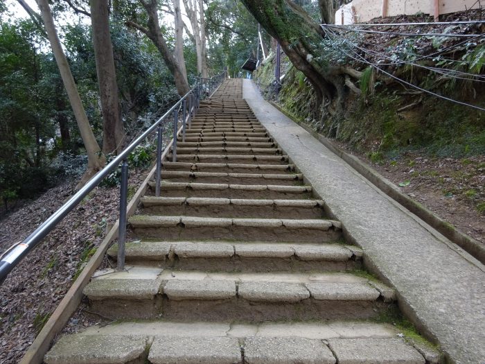 京都 ハイキング