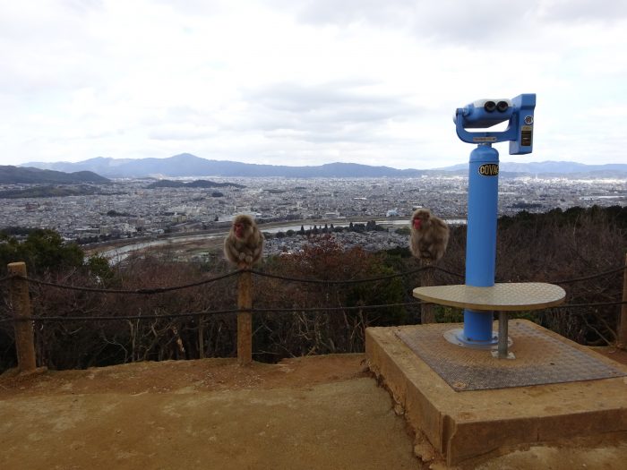 京都 絶景