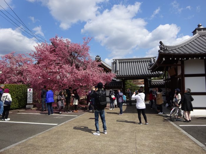 長徳寺