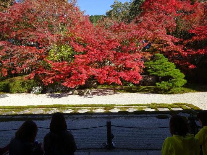 天授庵 紅葉