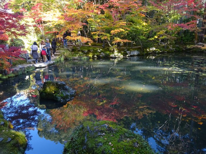 天授庵 庭園