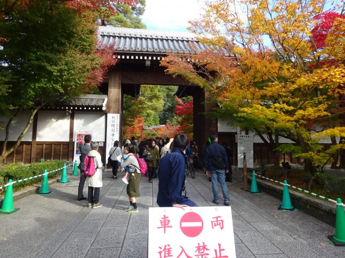 禅林寺