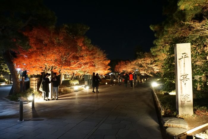 宇治 紅葉