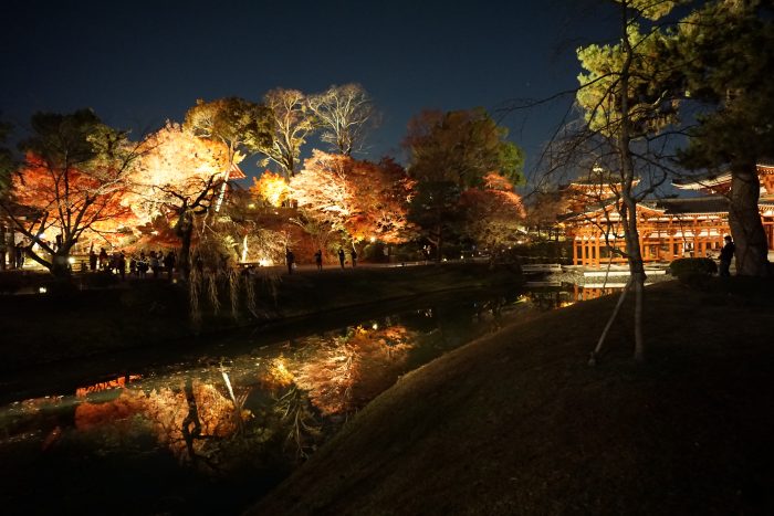 京都 紅葉ライトアップ